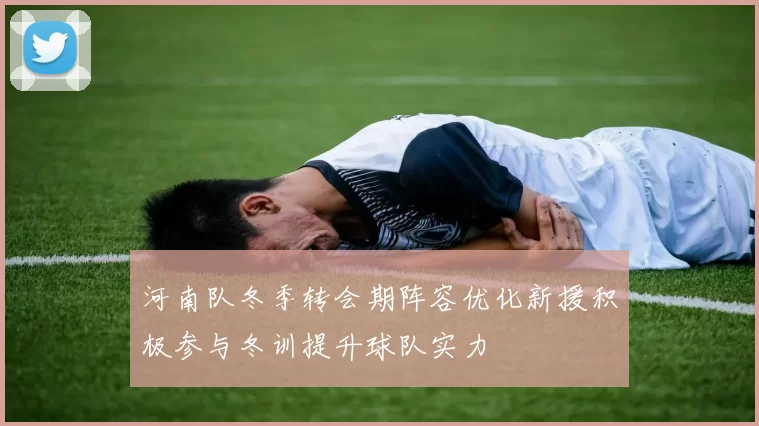 河南队冬季转会期阵容优化新援积极参与冬训提升球队实力